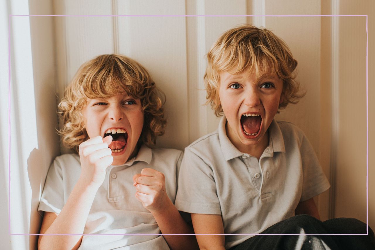 Two little boys laughing