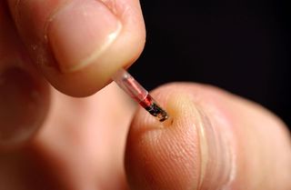 microchip implant