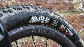 Maxxis Aspen EXO tires