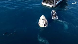 photo of a white space capsule floating in the ocean with three dolphins and two ships nearby