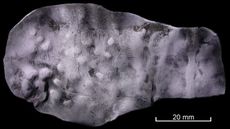 A piece of metal with an inscription. 