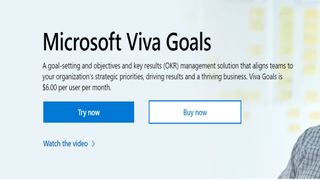 Website screenshot for Microsoft Viva Goals
