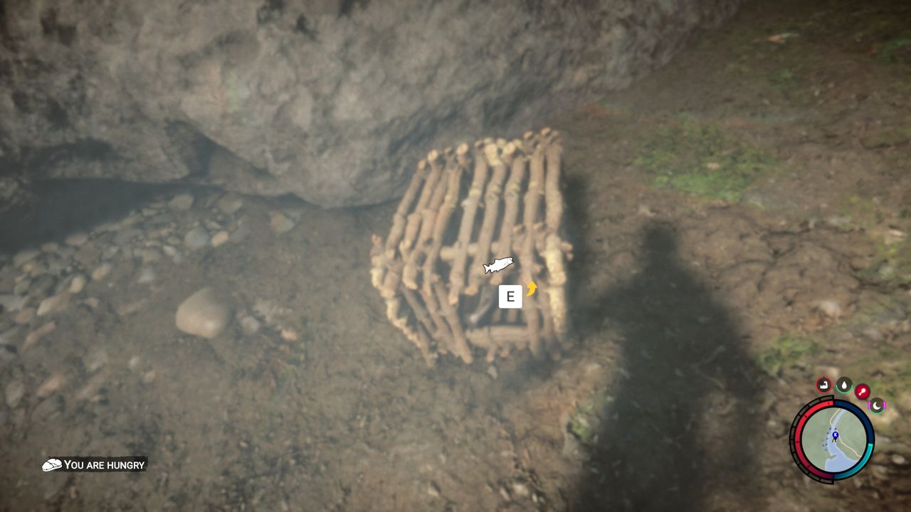 Sons of the Forest - fish trap underwater with a fish inside