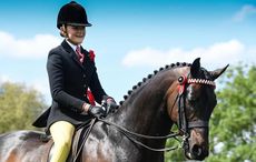 HM The Queen's Whalton Highwayman, ridden by 15-year-old Kinvara Garner