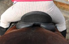 Saddle viewed from behind