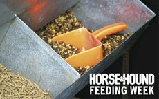 feed-week2.jpeg