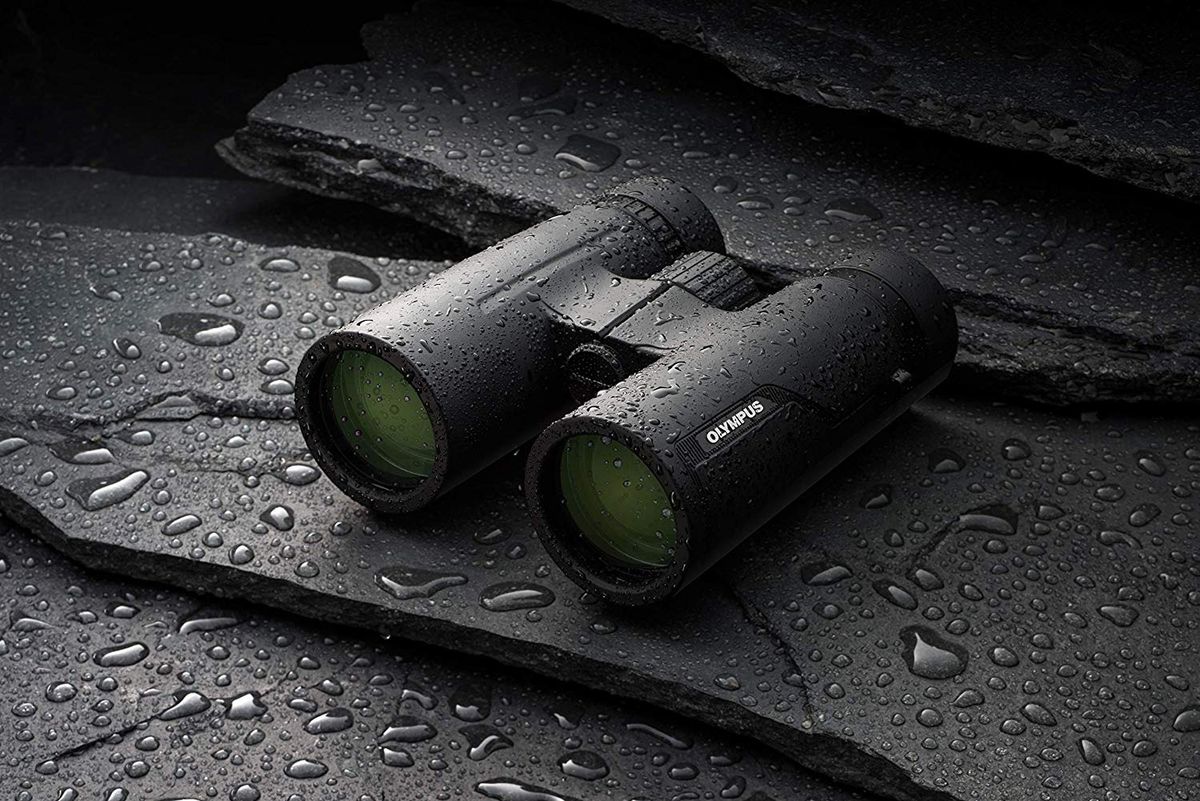 camera house binoculars