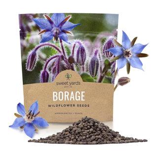 A pack of borage seeds