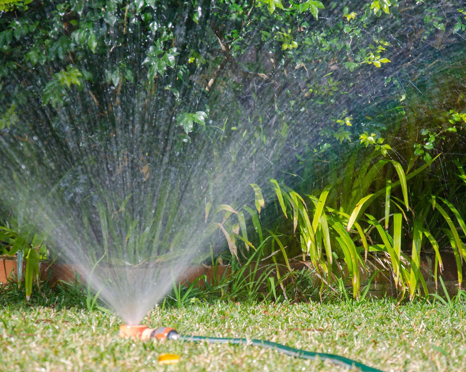 Sprinkler vs soaker hose what is best for your garden? Gardeningetc