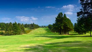 Fermoy Golf Club - Hole 13