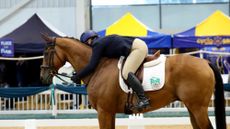 The BHA and ROR have signed a data sharing agreement