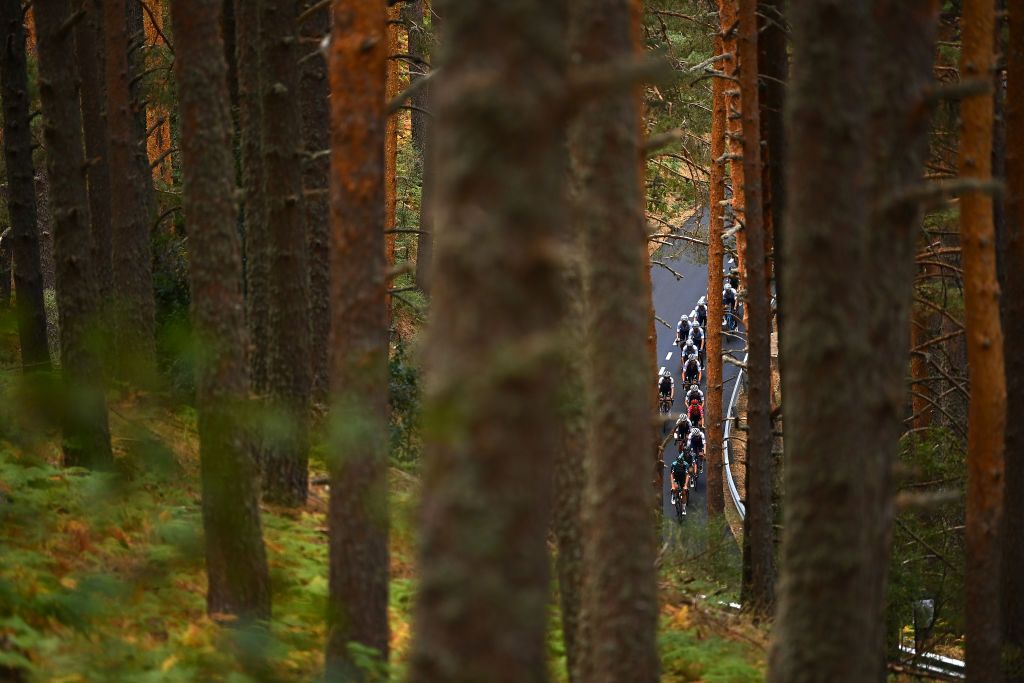 NAVACERRADA SPAIN SEPTEMBER 10 Remco Evenepoel of Belgium and Team QuickStep Alpha Vinyl Red Leader Jersey and general view of the Peloton passing through a wooded area at the Puerto de Navafra 1765m during the 77th Tour of Spain 2022 Stage 20 a 181km stage from Moralzarzal to Puerto de Navacerrada 1851m LaVuelta22 WorldTour on September 10 2022 in Puerto de Navacerrada Spain Photo by Tim de WaeleGetty Images