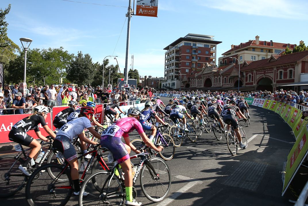 The peloton head towards the finish on stage 2 of the Santos Women's Tour