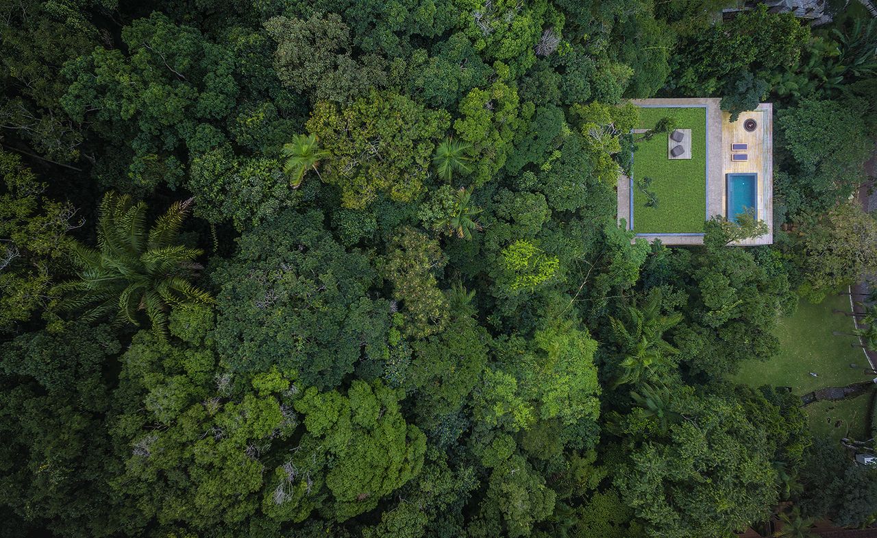 a family holiday retreat buried deep within dense vegetation on a coastal plot