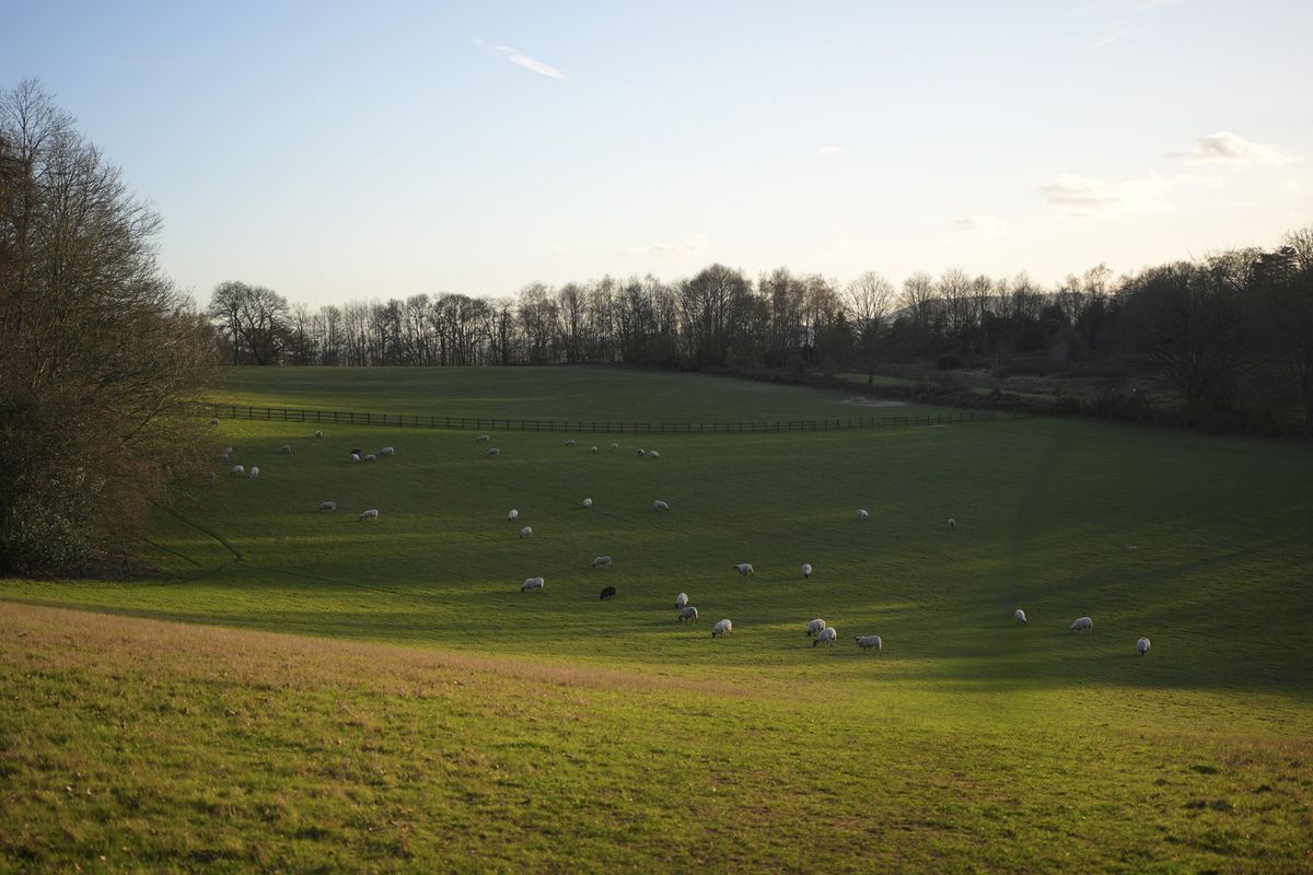 Landscape at dusk