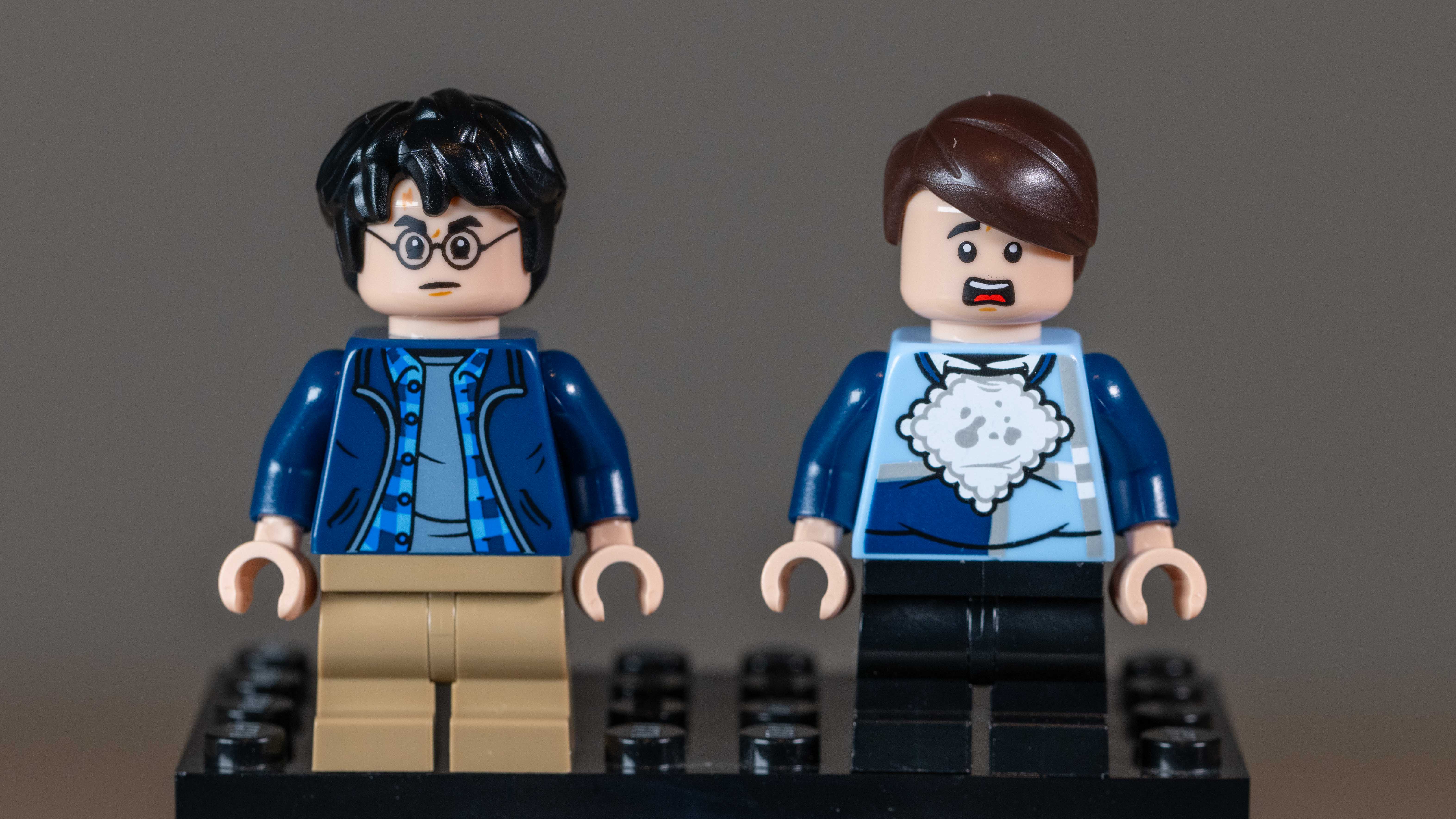 Lego Privet Drive: Aunt Marge's Visit (76451) Harry Potter and Dudley Dursley Minifigures 