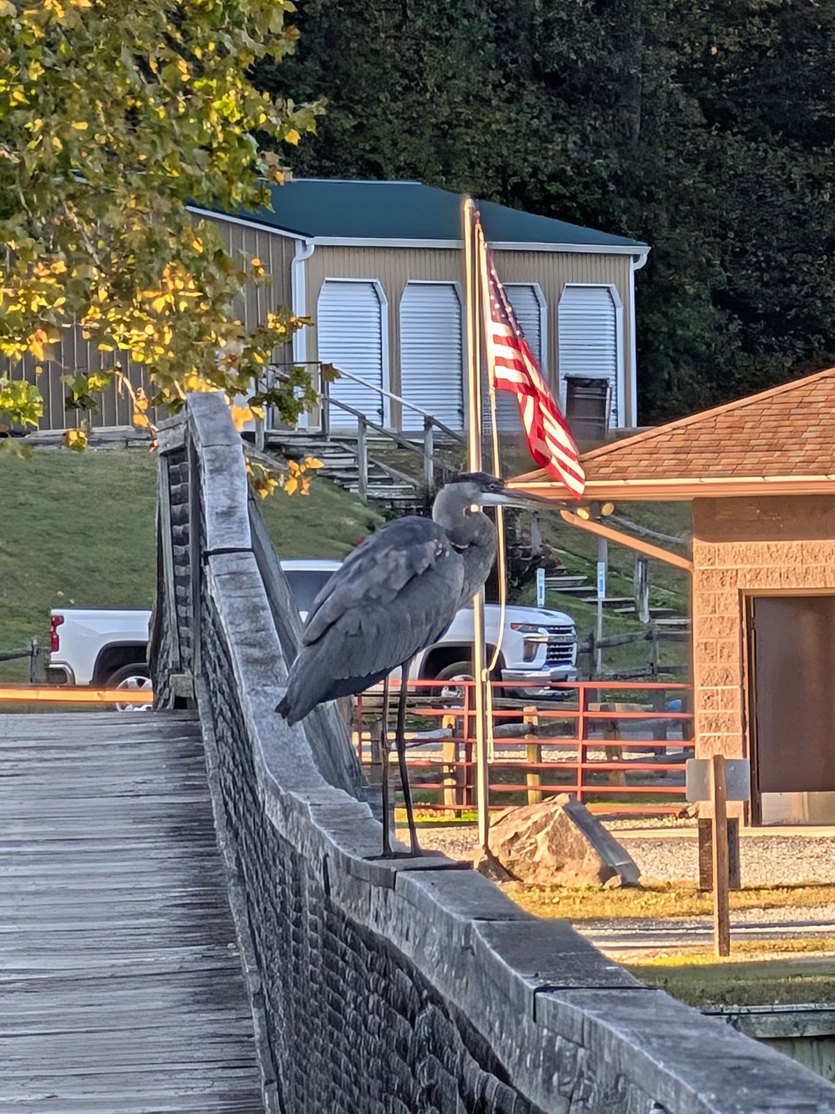 Google Pixel 9 Pro Fold camera samples