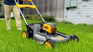 DeWALT DCMWSP244U2 60V MAX* Cordless Brushless RWD Self-Propelled Mower being tested in writer's yard