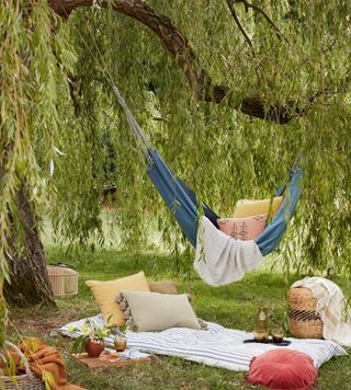 garden with hammock and cushions and throw