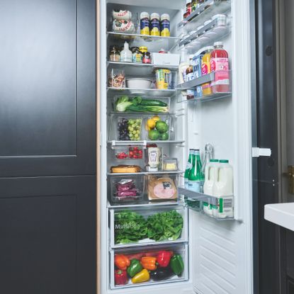 Large fridge with the door open and the food organised in containers inside