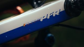 Close up on the color of the Pivot Firebird