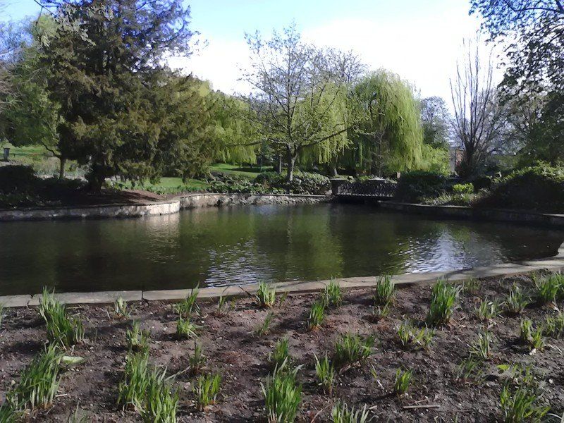 Nokia X camera sample