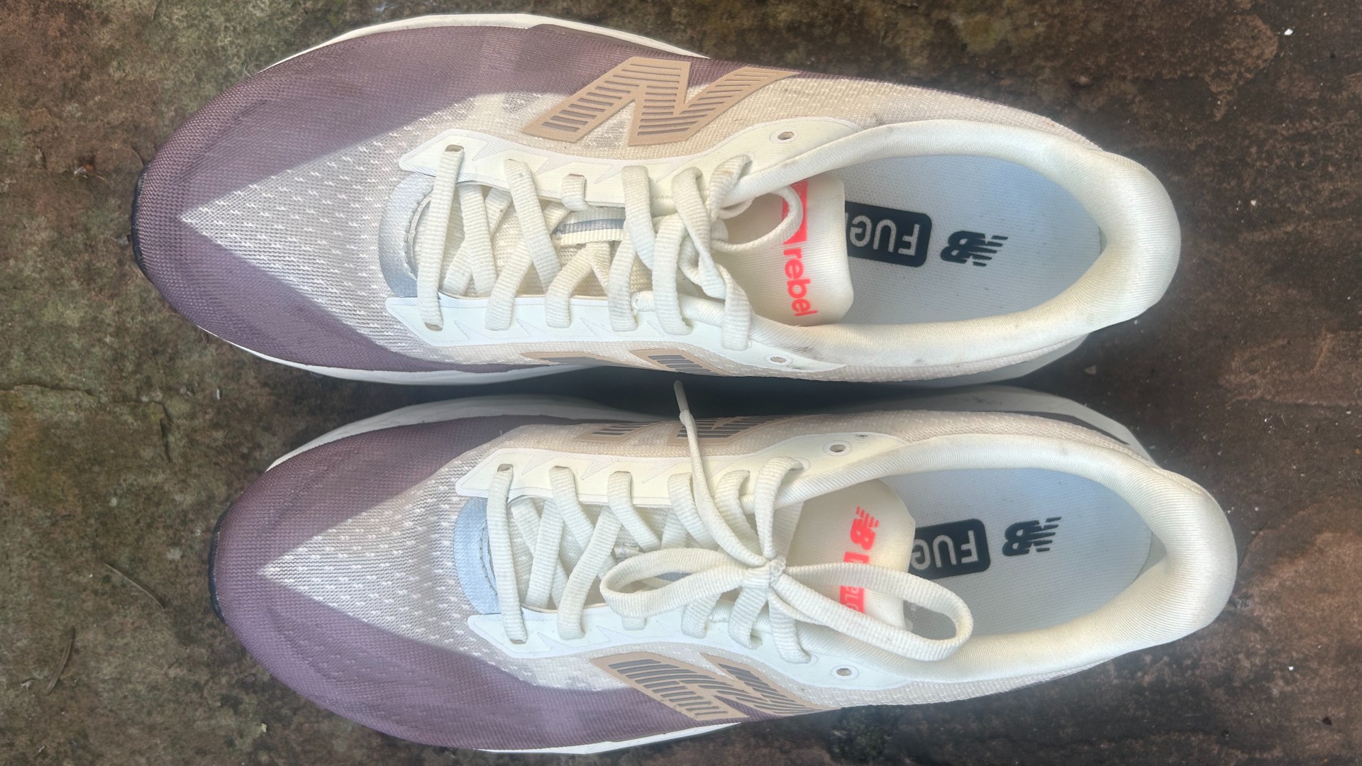 New Balance FuelCell Rebel v5