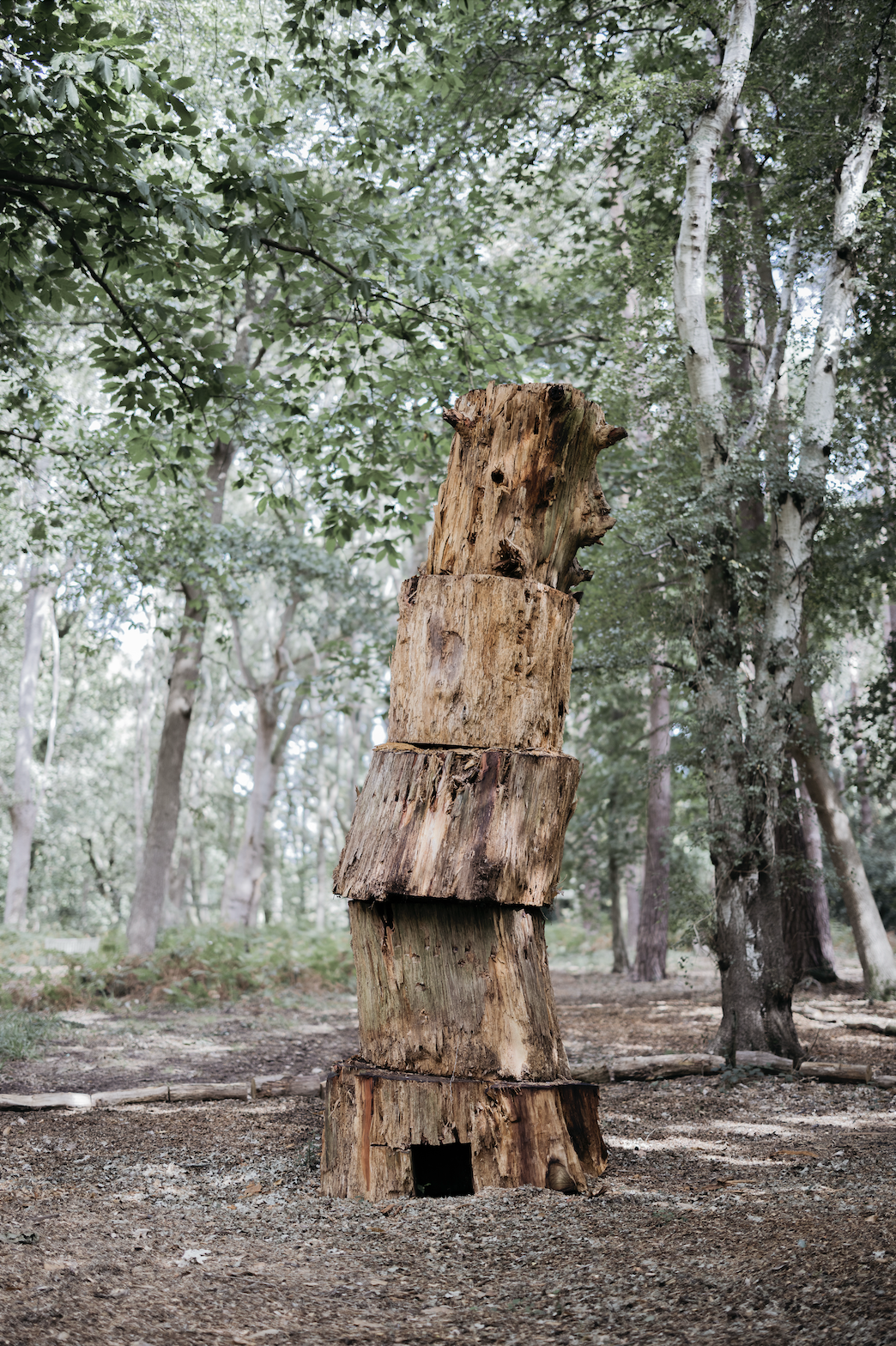 Thibault Lucas, The Ancestor, 2026