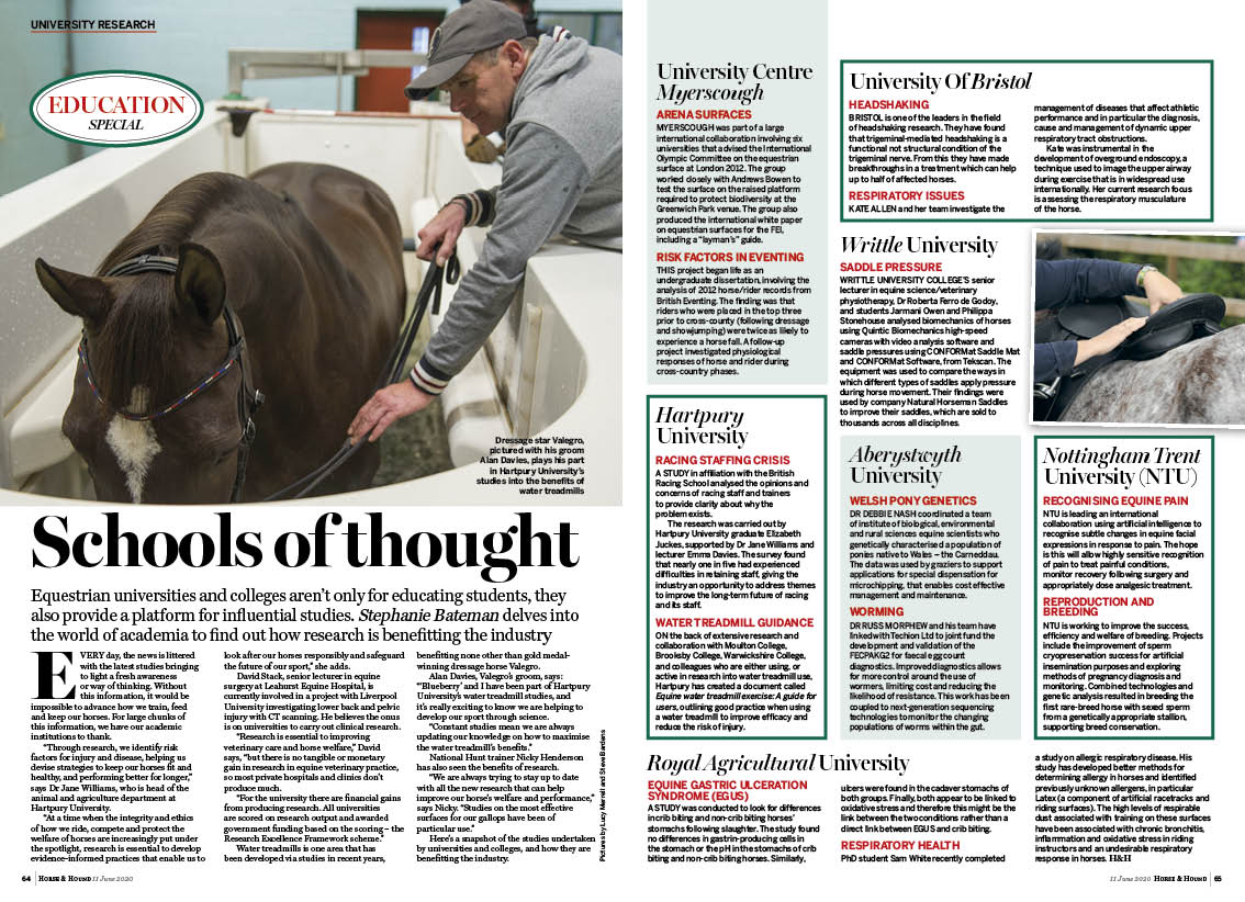 FT 2pp Horse industry research f