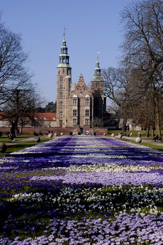 Copenhagen's gardens - city guide