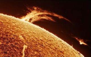 close up detailed views of the sun showing a grassy fuzzy looking orange surface and a huge fiery looking tendril on the left and a patch of plasma on the right that appears to have broken free.