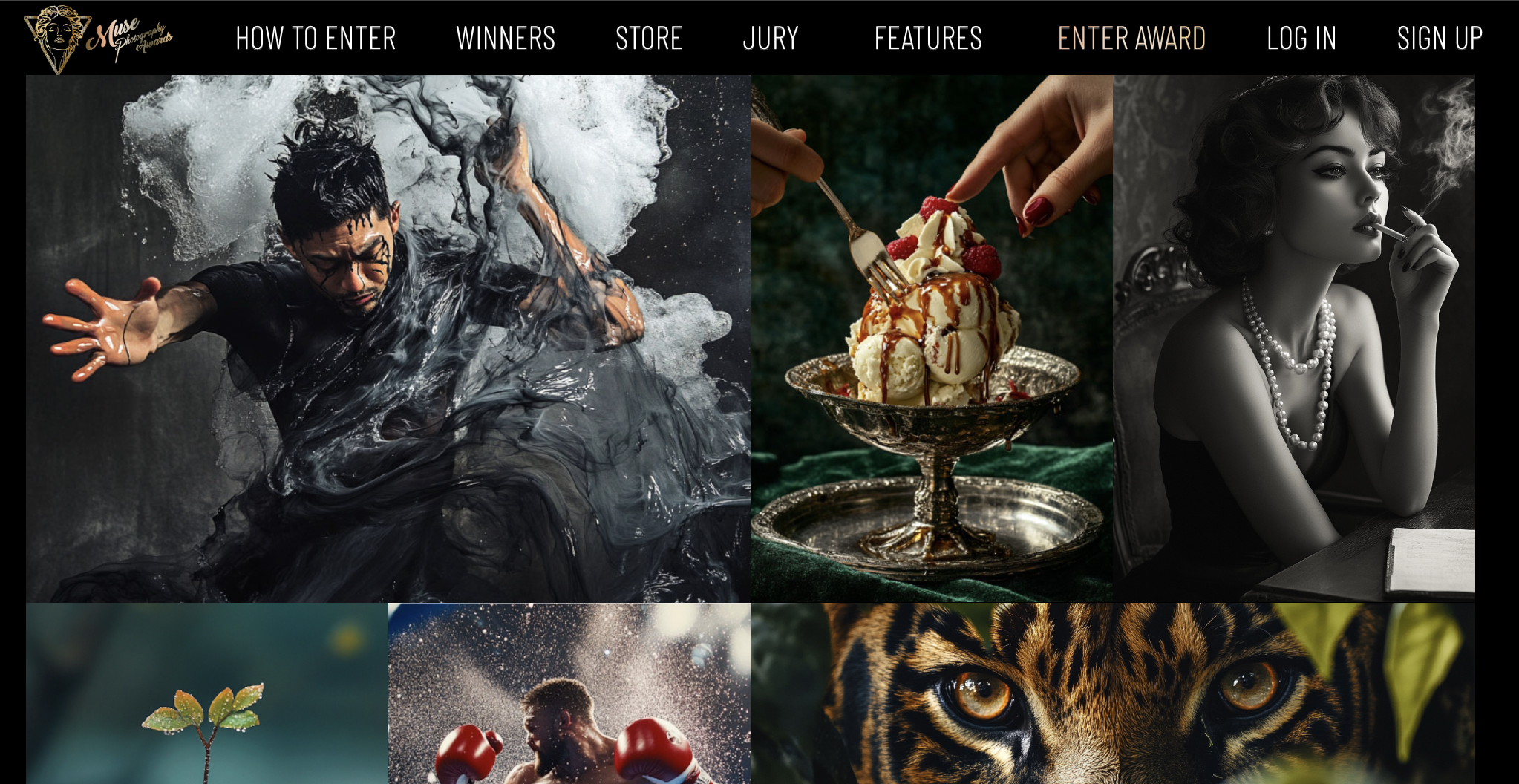 A montage of four diverse photographs promoting the Muse Photography Awards, including a man submerged in dark water, an ice cream sundae being topped with a raspberry, a black-and-white portrait of a woman smoking, and a close-up of a tiger's eyes.