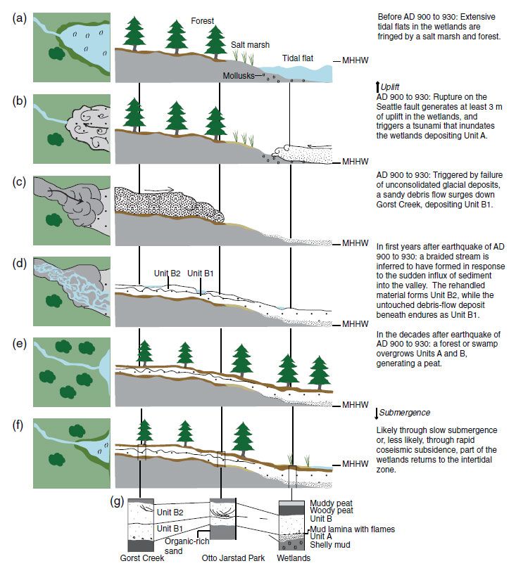 earthquakes, fault, faultline