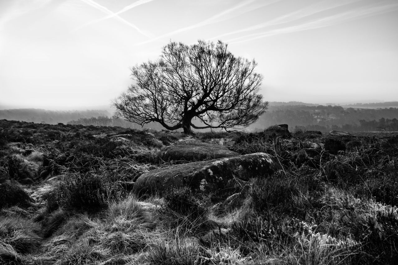 Winter in the Peak District by Heidi Cohen image