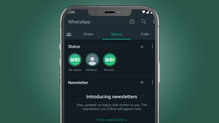 A phone screen showing the new WhatsApp newsletter feature
