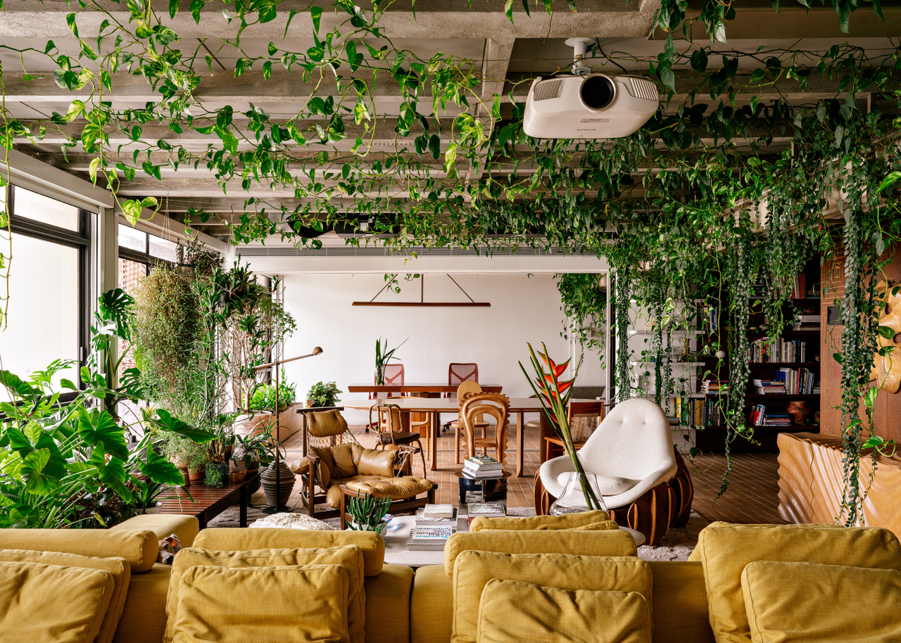 A mustard couch, trailing vines across ceiling beams, a projector, and wood accents in a living room