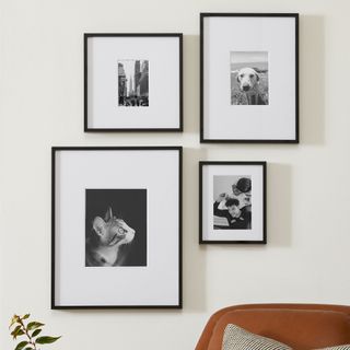 black frames for gallery wall