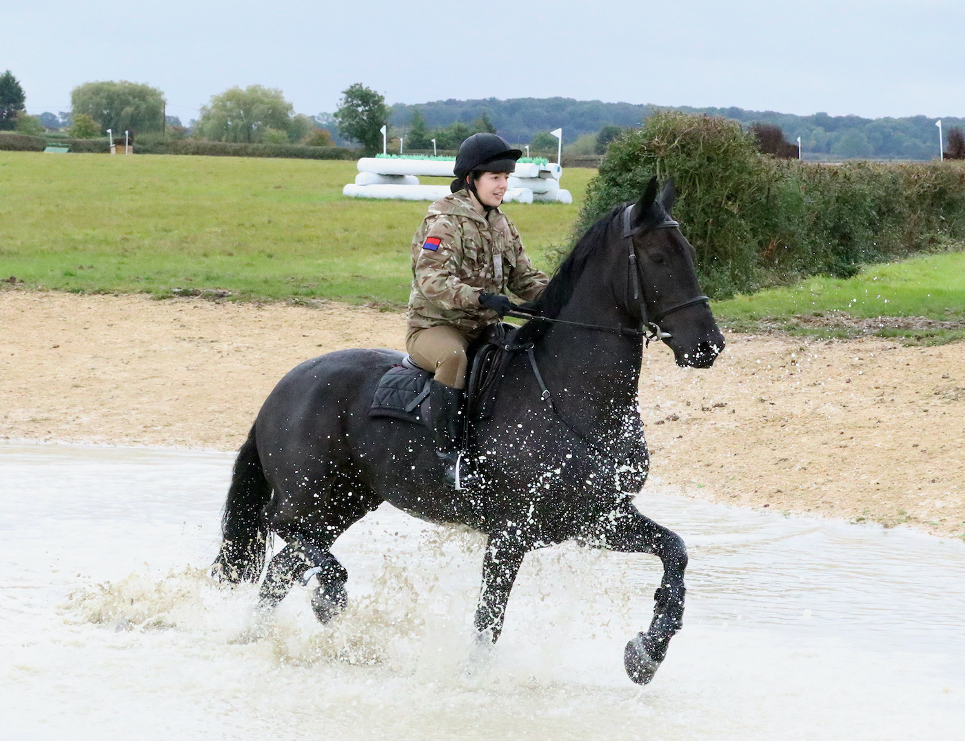 King&amp;rsquo;s Troop