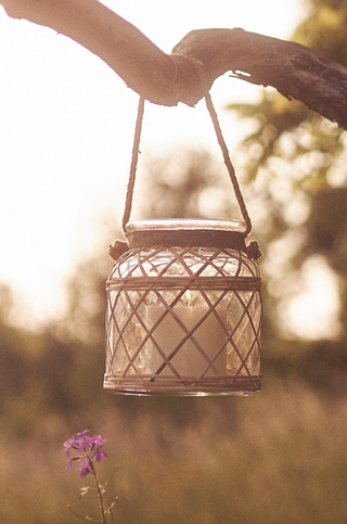 glass rattan lantern holding a candle hanging from a tree branch in a garden