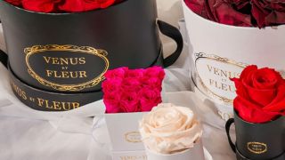 Venus et Fleur - great if you like treated roses