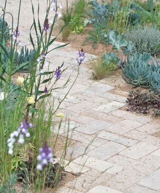 brick paver pathway through a gravel garden