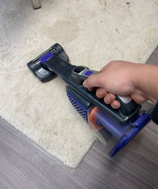 Black+Decker dustbuster furbuster AdvanceClean+ Pet handheld vacuum cleaning area rug in Bristol Animal Rescue Centre