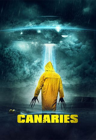 Canaries Peter Stray poster