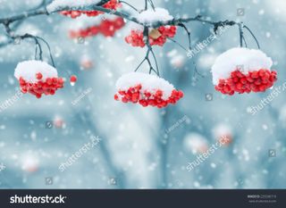 This photo from the Changing seasons collection lends designs timeliness (Photo by Leonid Ikan; click to get it on Shutterstock)