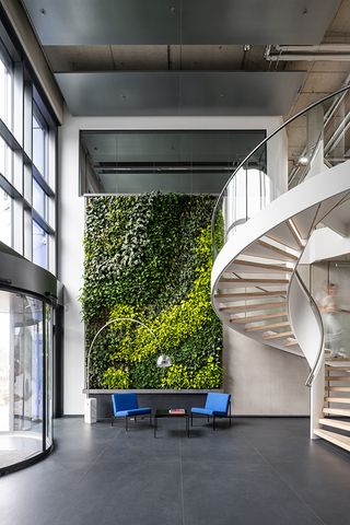 green wall and winding stairs at Schwalbe Hybrid Building by Archiproba