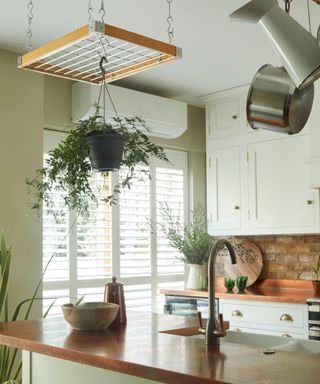 A light green kitchen with a kitchen island with a dark brown countertop and silver faucet, with a plant hanging above it on a wood and metal grid, and white kitchen cabinets behind it