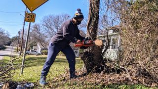 I got to work on some smaller trees and branches first. The chainsaw cut through them quickly and efficiently.