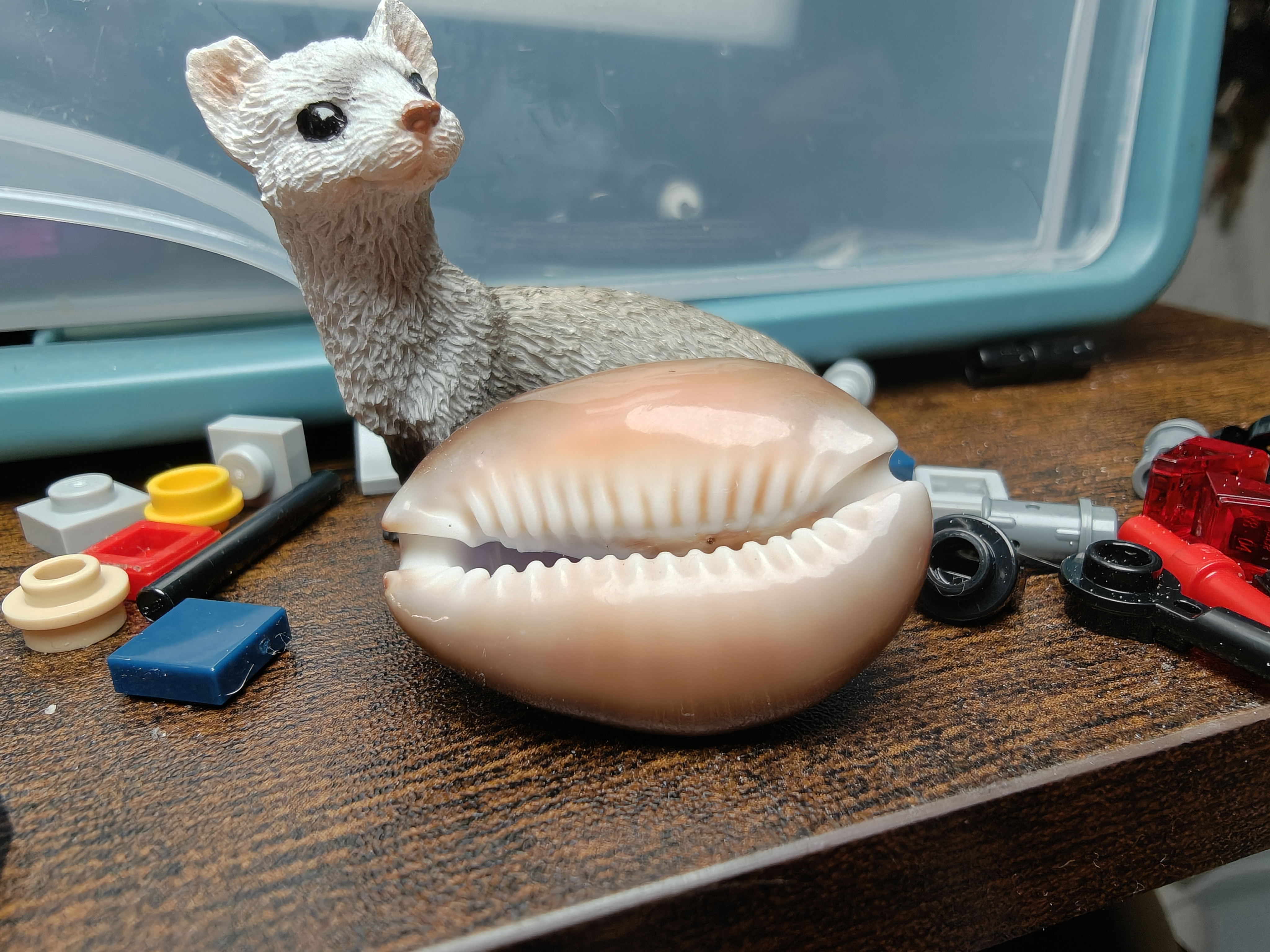 Camera image samples taken with the OnePlus 15