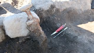 This sword has a preserved pommel (a knob at the end of the handle) with a "button" on top. 