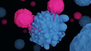 3D illustration shows T cells attacking cancer cells.